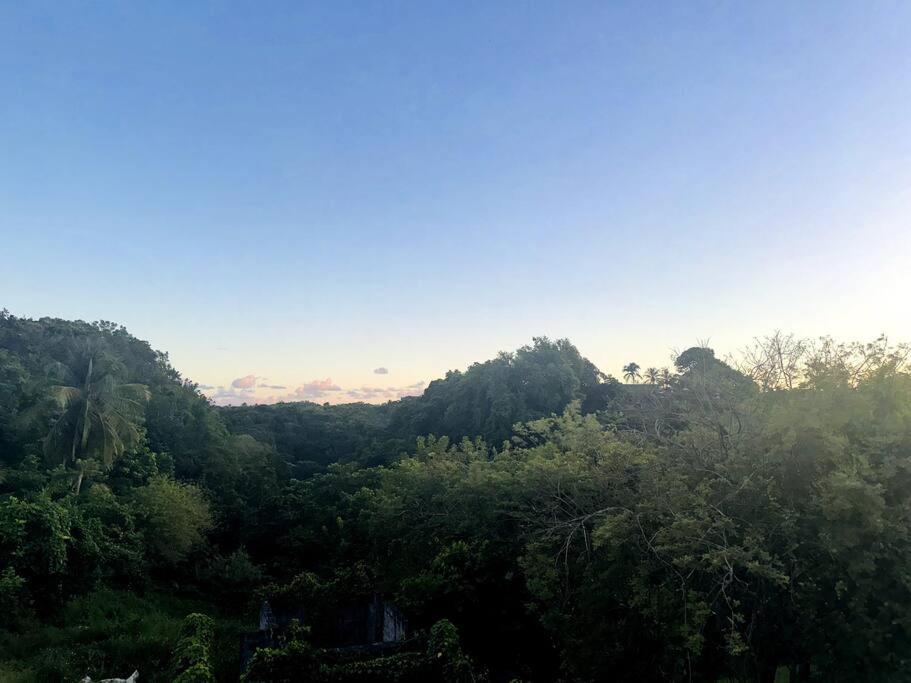 L'Ecrin De Verdure 圣安尼 外观 照片